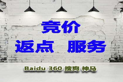 不同平台的SEM广告投放比较及成功案例分析